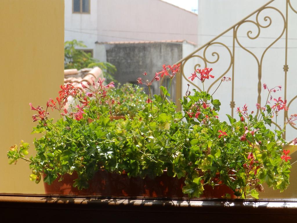 Sa Chessa B&B Ploaghe Exterior foto